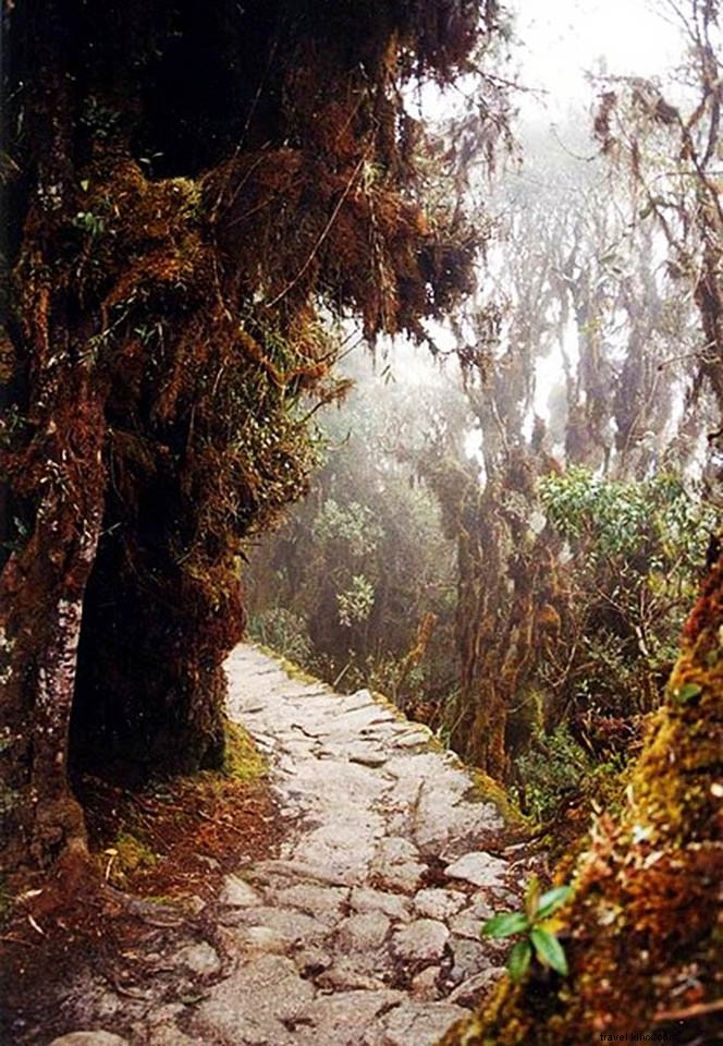 Visiter le Machu Picchu : voyage économique et trekking au Pérou