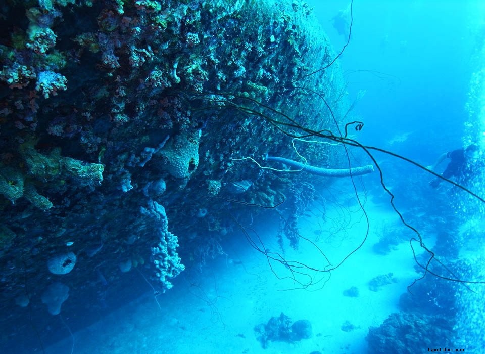 Jordanie #5 : Aqaba
