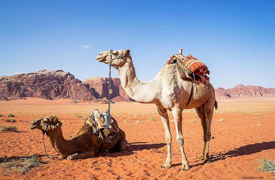 Jordanie #5 : Aqaba