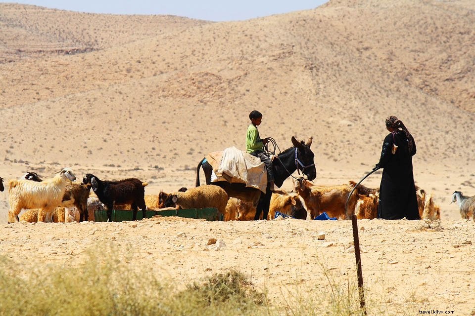 Jordanie #2 – Le désert de Wadi Rum