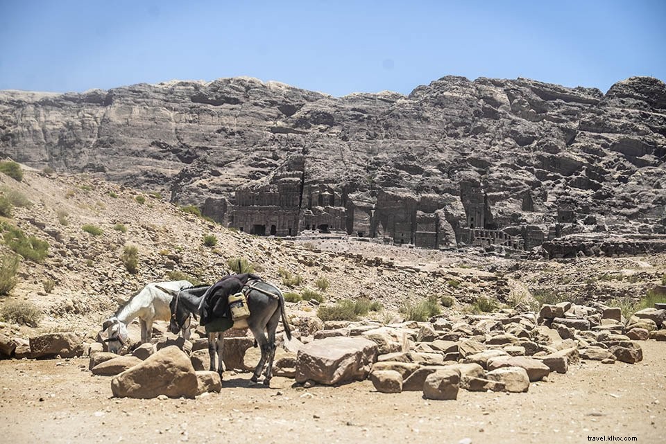 Jordanie #1 : Pétra, la raison d’aller au Moyen‑Orient