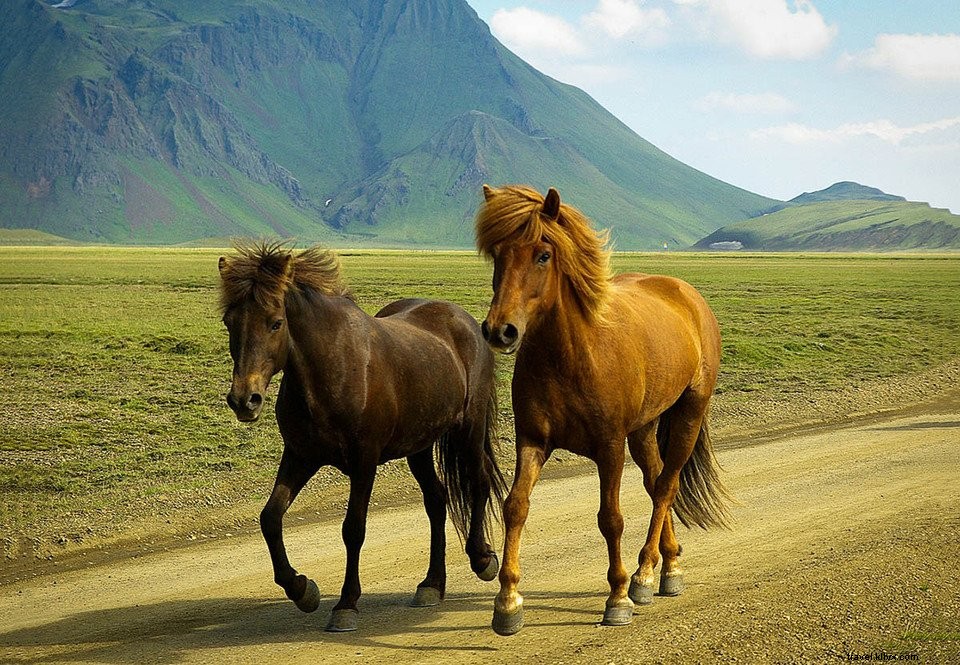 Trek et sentiers dans les montagnes arc‑en‑ciel de Landmannalaugar, Islande