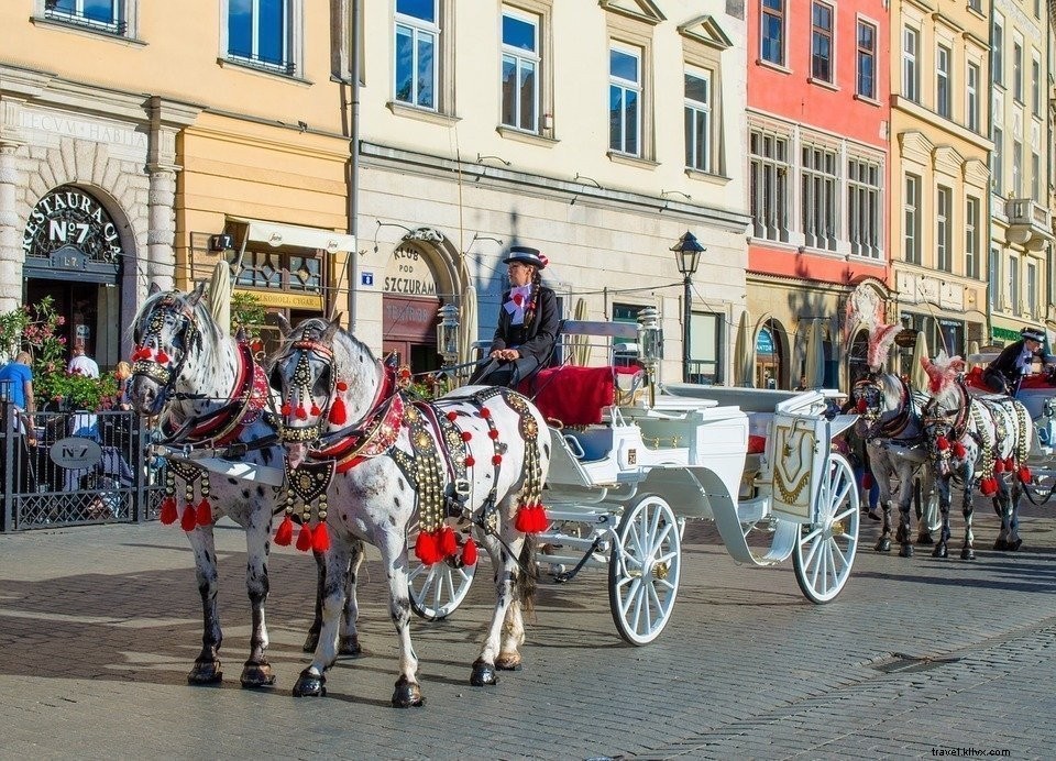 Cracovie magique : ville médiévale au cœur de la Pologne