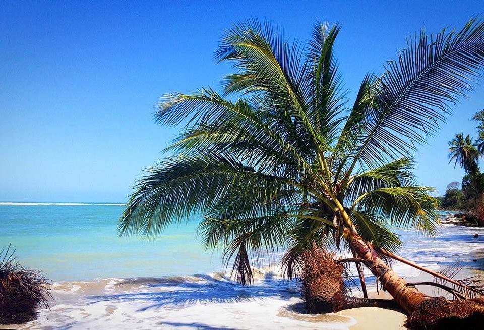 Voyager au Costa Rica avec un petit budget : nos conseils pratiques