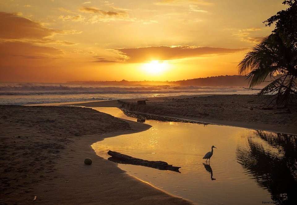 Voyager au Costa Rica avec un petit budget : nos conseils pratiques