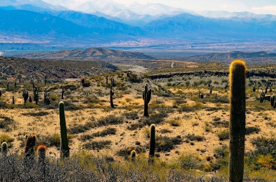 Voyage à Córdoba et dans le nord de l Argentine