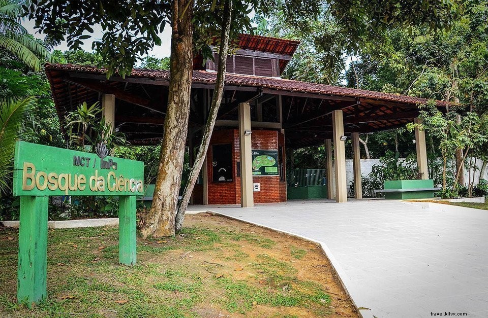 Explorer le Brésil #4 : Manaus, le fleuve Amazone et la jungle