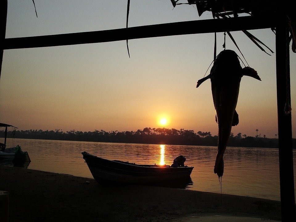 Explorer le Brésil #4 : Manaus, le fleuve Amazone et la jungle