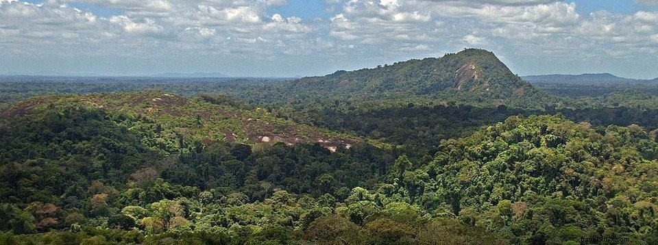 Explorer le Brésil #4 : Manaus, le fleuve Amazone et la jungle