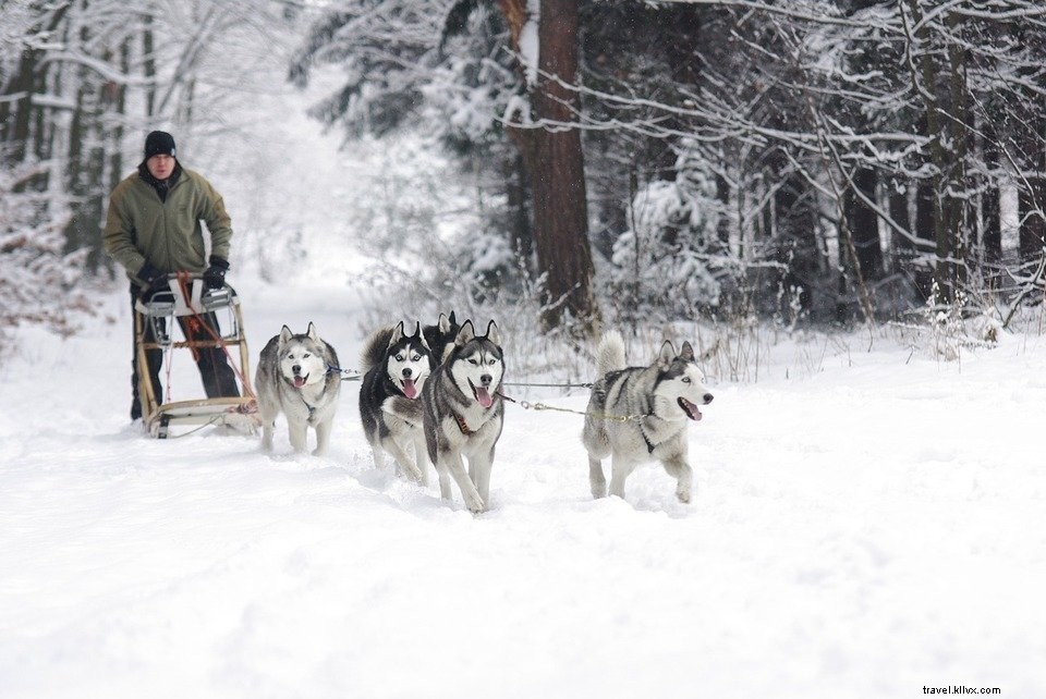 Une petite visite au Village du Père Noël de Rovaniemi