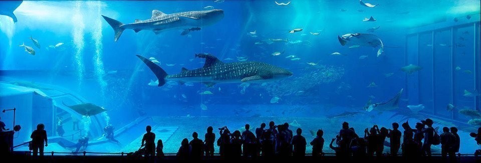 Explorer l Australie #4 : Melbourne