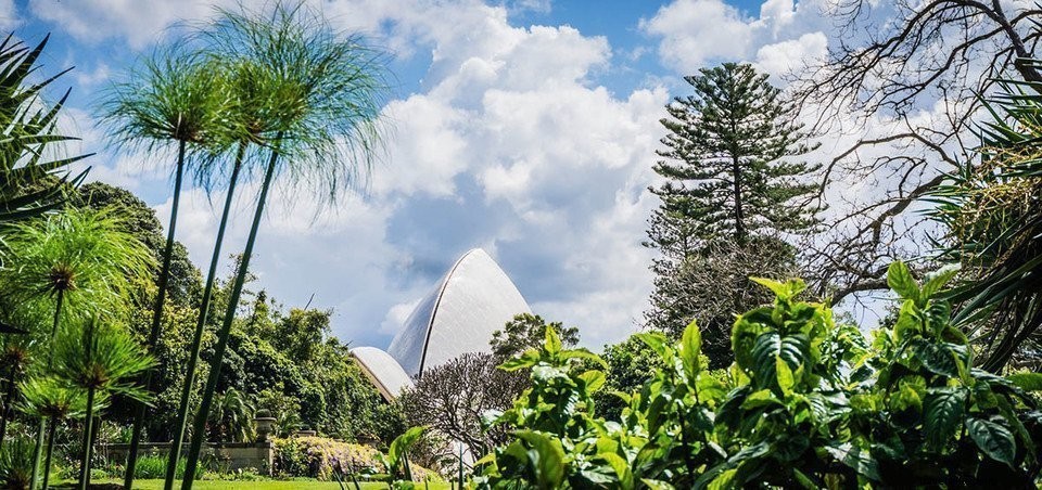 Explorer l Australie #3 : Sydney
