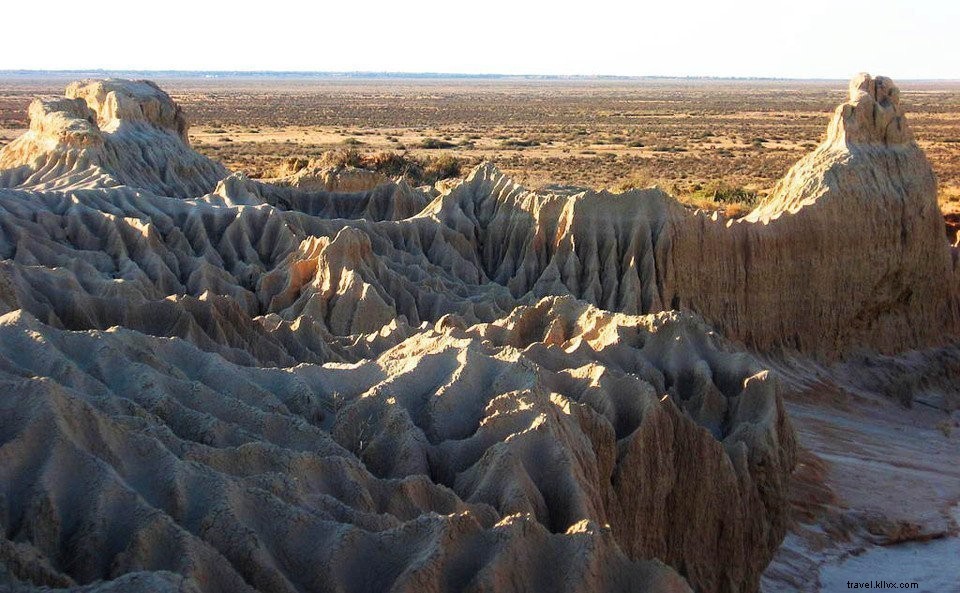Exploration de l Australie #2 : Parc national de Mungo et forêt de séquoias