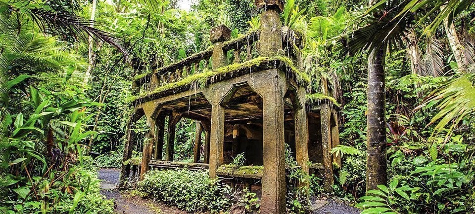 Explorer l Australie – Partie 1 : Parc Paronella et Sanctuaire William Ricketts
