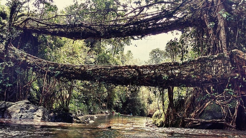 Les lieux les plus insolites mais toujours incroyables en Inde