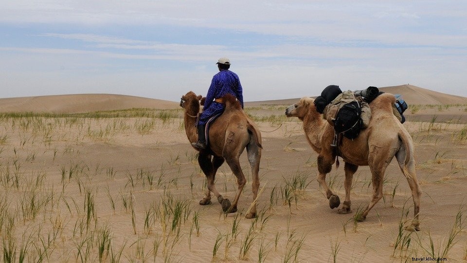 Explorer la Mongolie sauvage : une aventure nomade