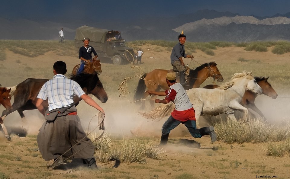 Explorer la Mongolie sauvage : une aventure nomade