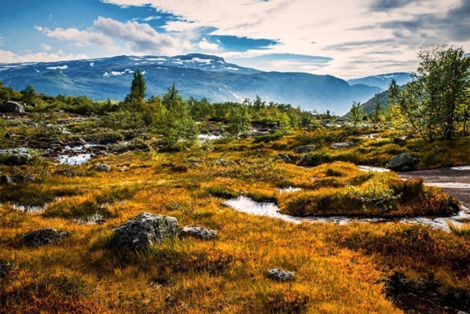 Randonnée à Trolltunga – La langue du troll