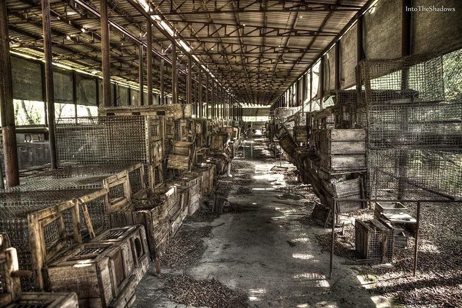 72 heures dans la zone de Pripyat et de Tchernobyl
