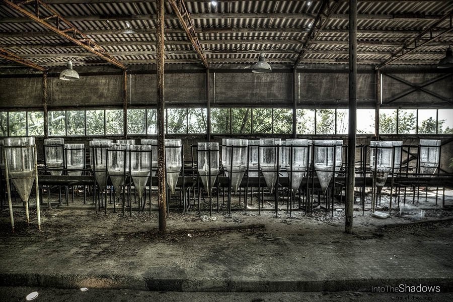 72 heures dans la zone de Pripyat et de Tchernobyl
