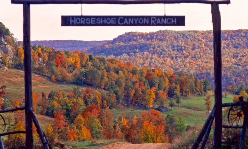 Ranch d hôtes Horseshoe Canyon