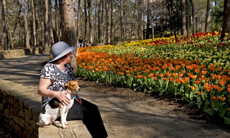 Jardins forestiers de Garvan