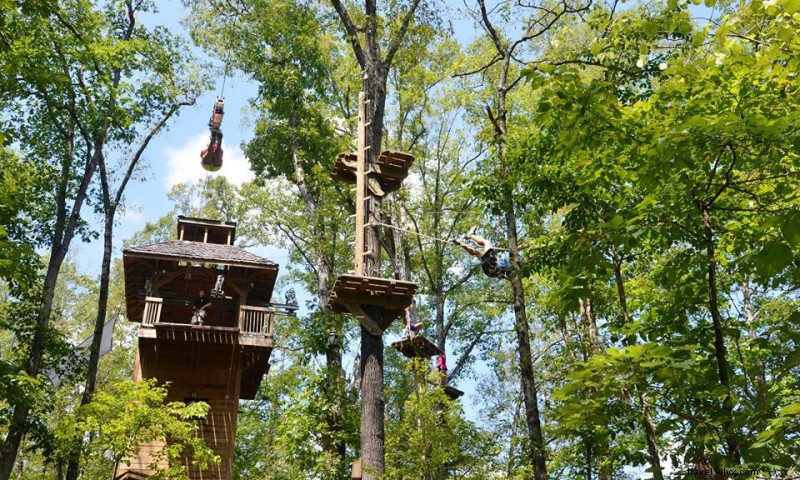 Loco Ropes @ Parc d État Ozark Folk Center