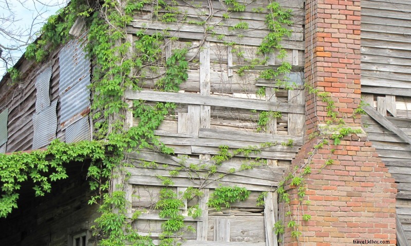 Maison en rondins Taylor