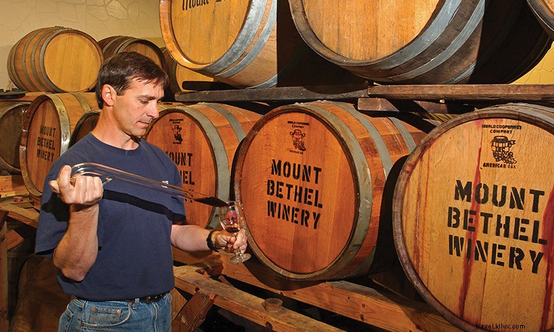 Le vignoble du Mont Béthel