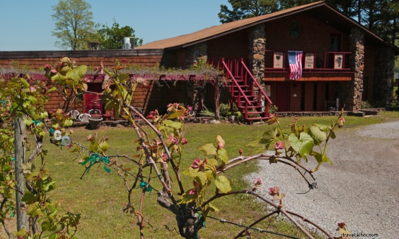 Les caves à vin et vignobles Cowie