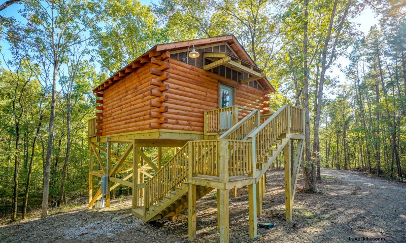 À la une : Cabanes dans les arbres à Hot Springs