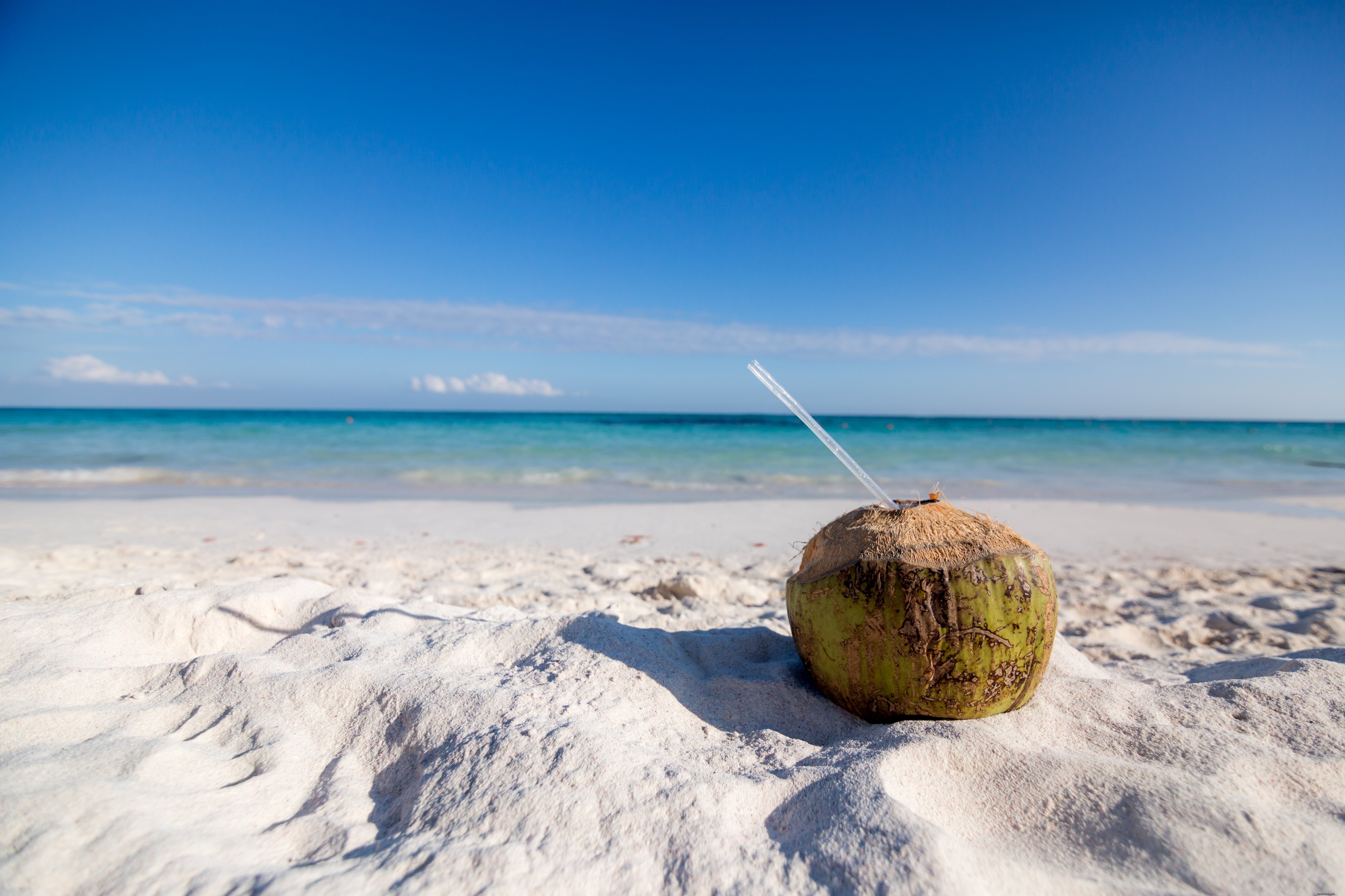 Photo d une boisson à la noix de coco sur la plage
