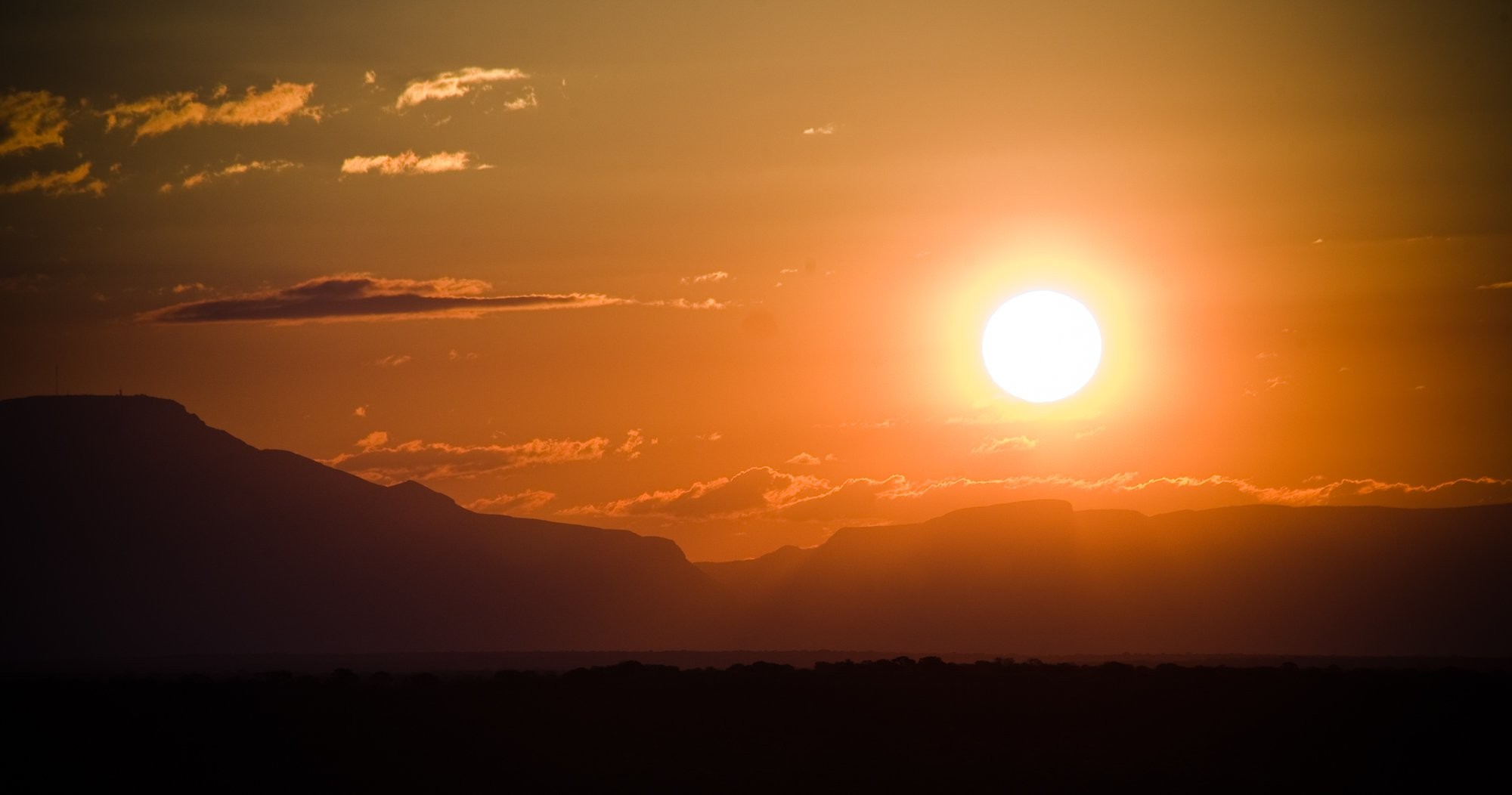 Photo d un safari africain au coucher du soleil