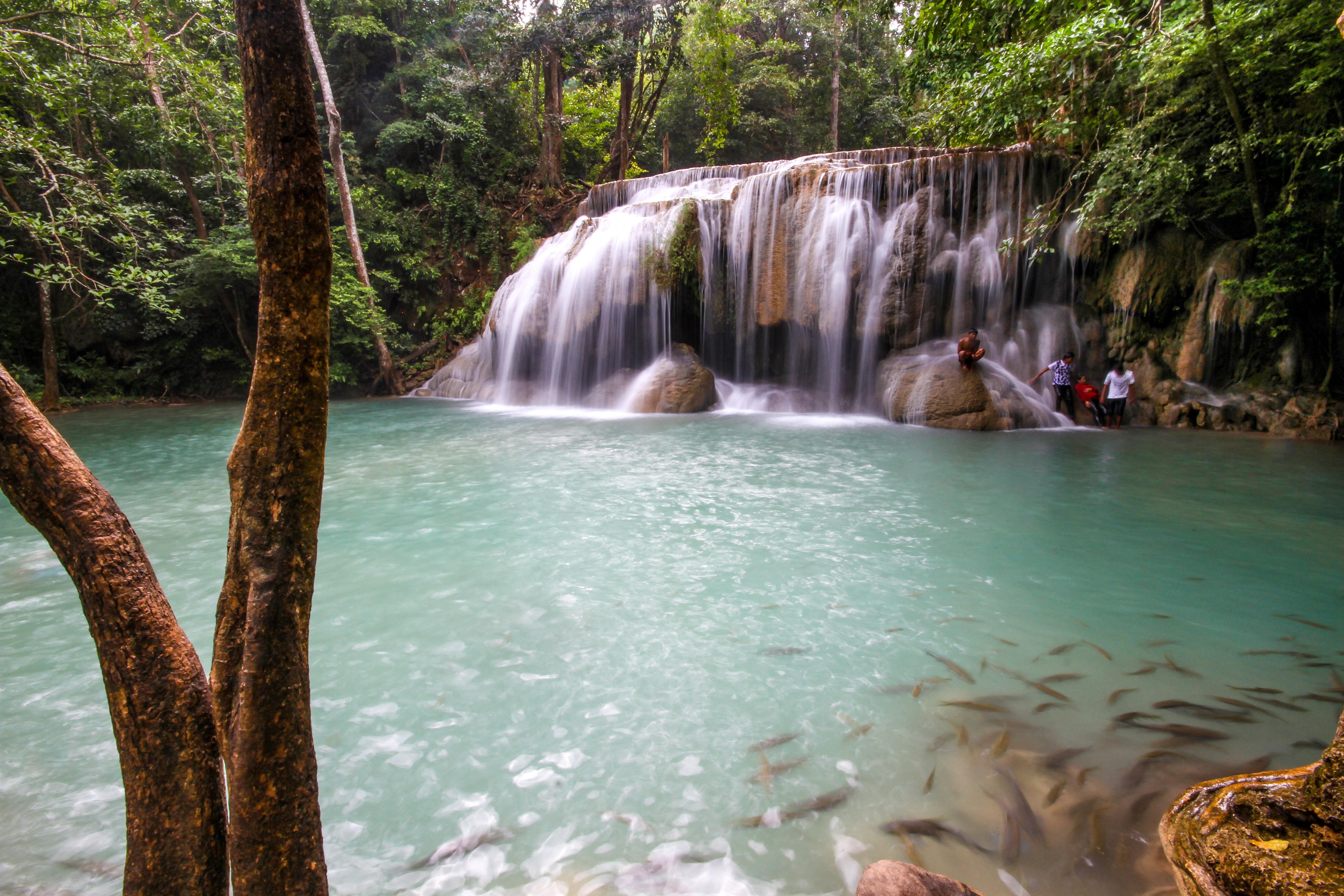 Photo d une cascade tropicale