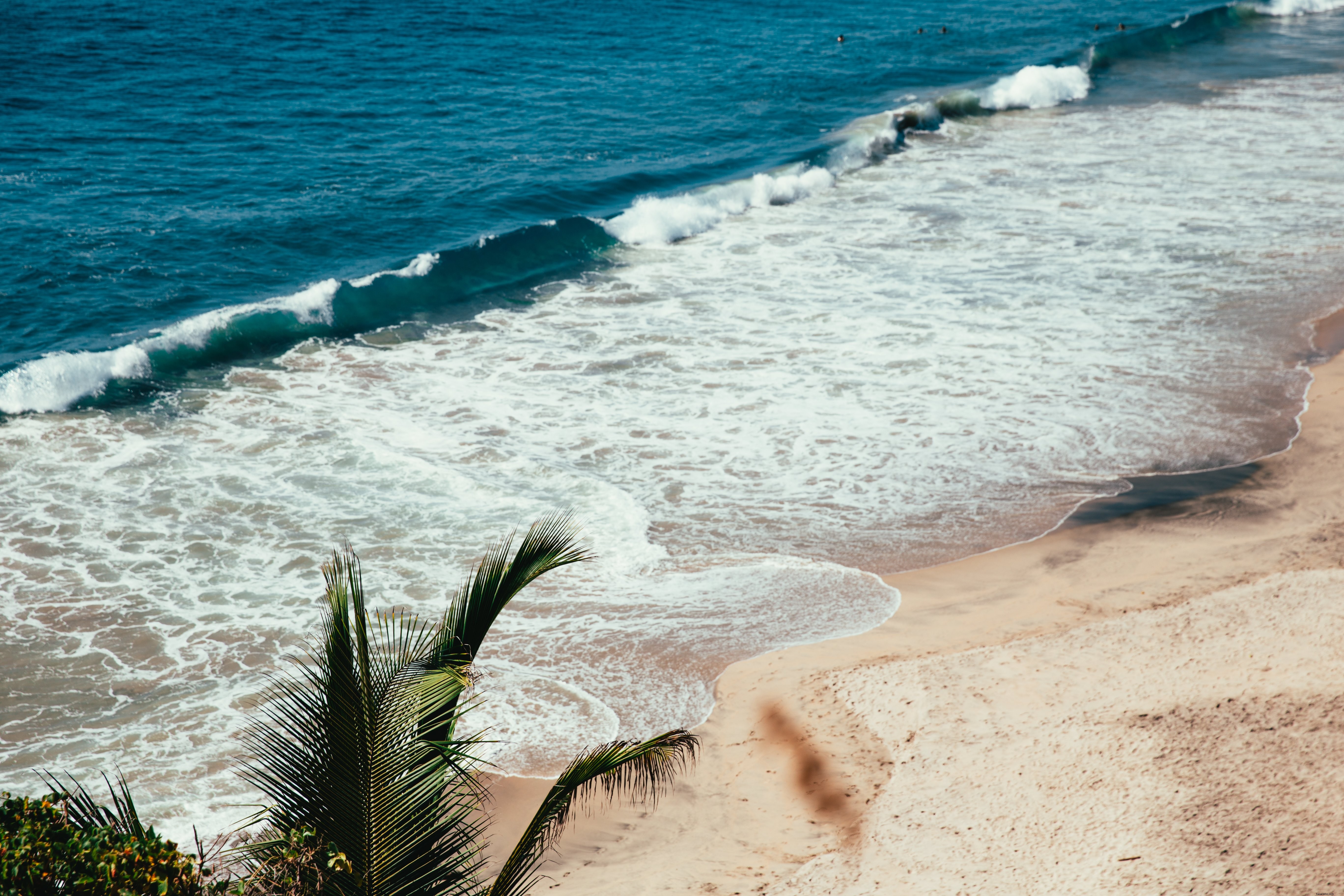 Photo d une plage tropicale