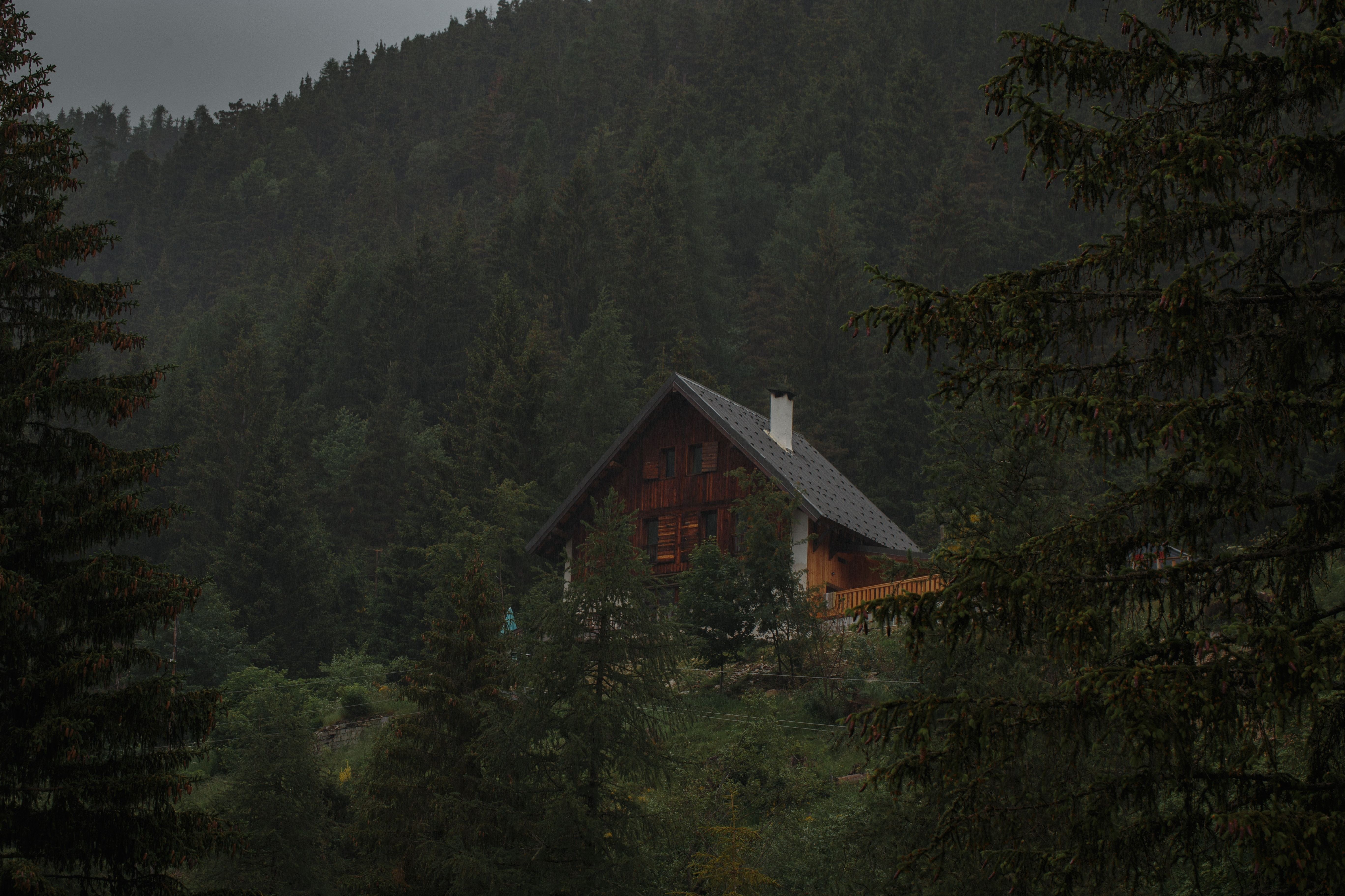 Photo d une cabane en bois au cœur de la forêt