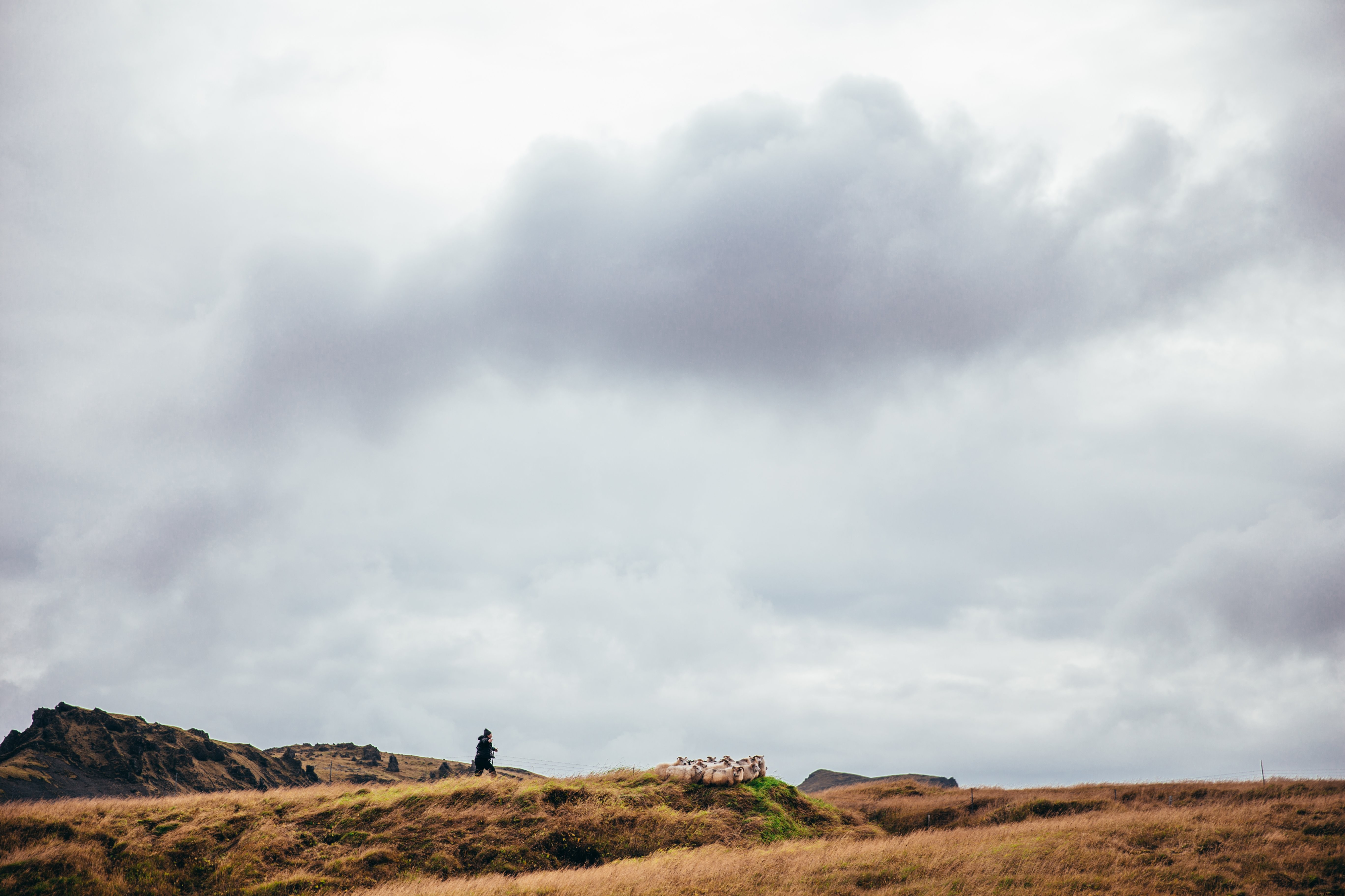 Image des prairies arctiques