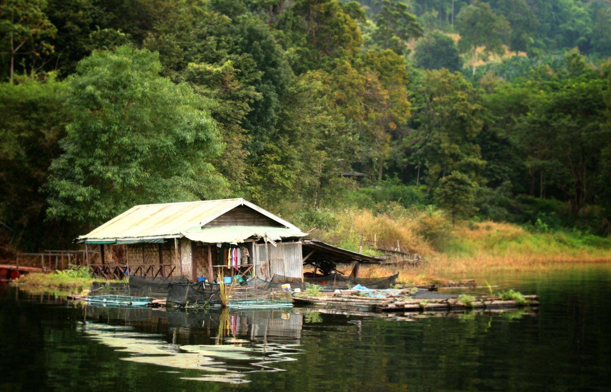 Photo d’une maison dans la jungle