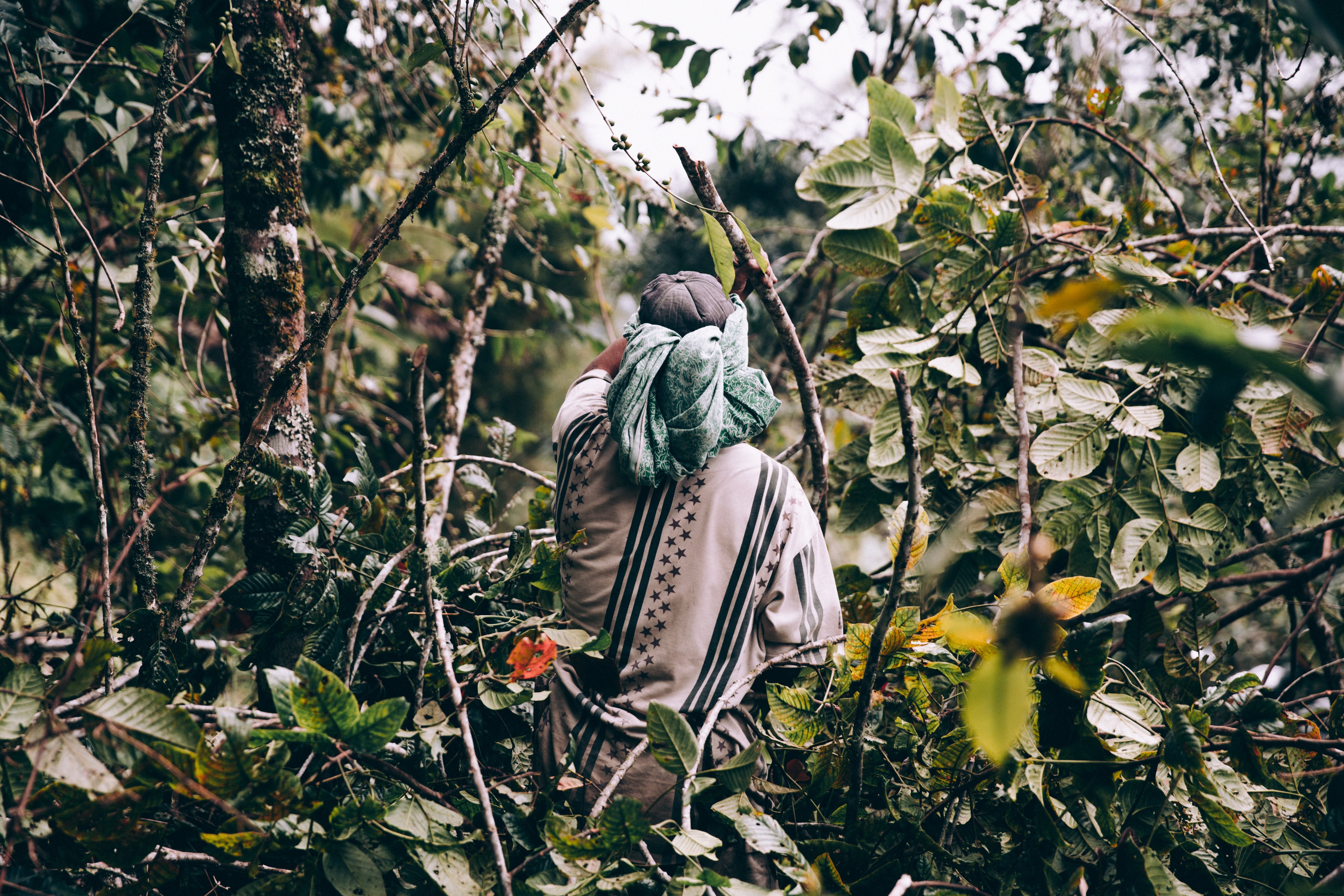 Photo d un homme vêtu de vêtements amples se promenant dans la jungle