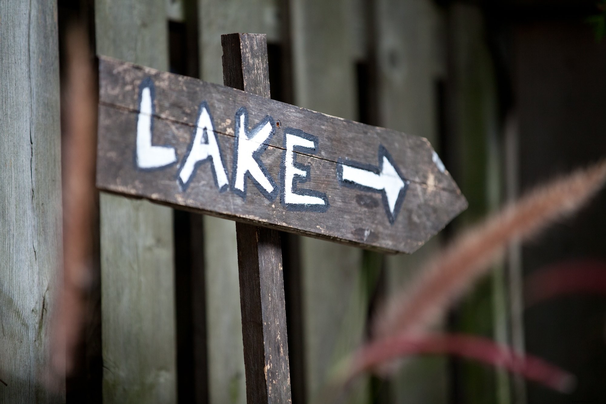 Photo du panneau « Lake This Way »