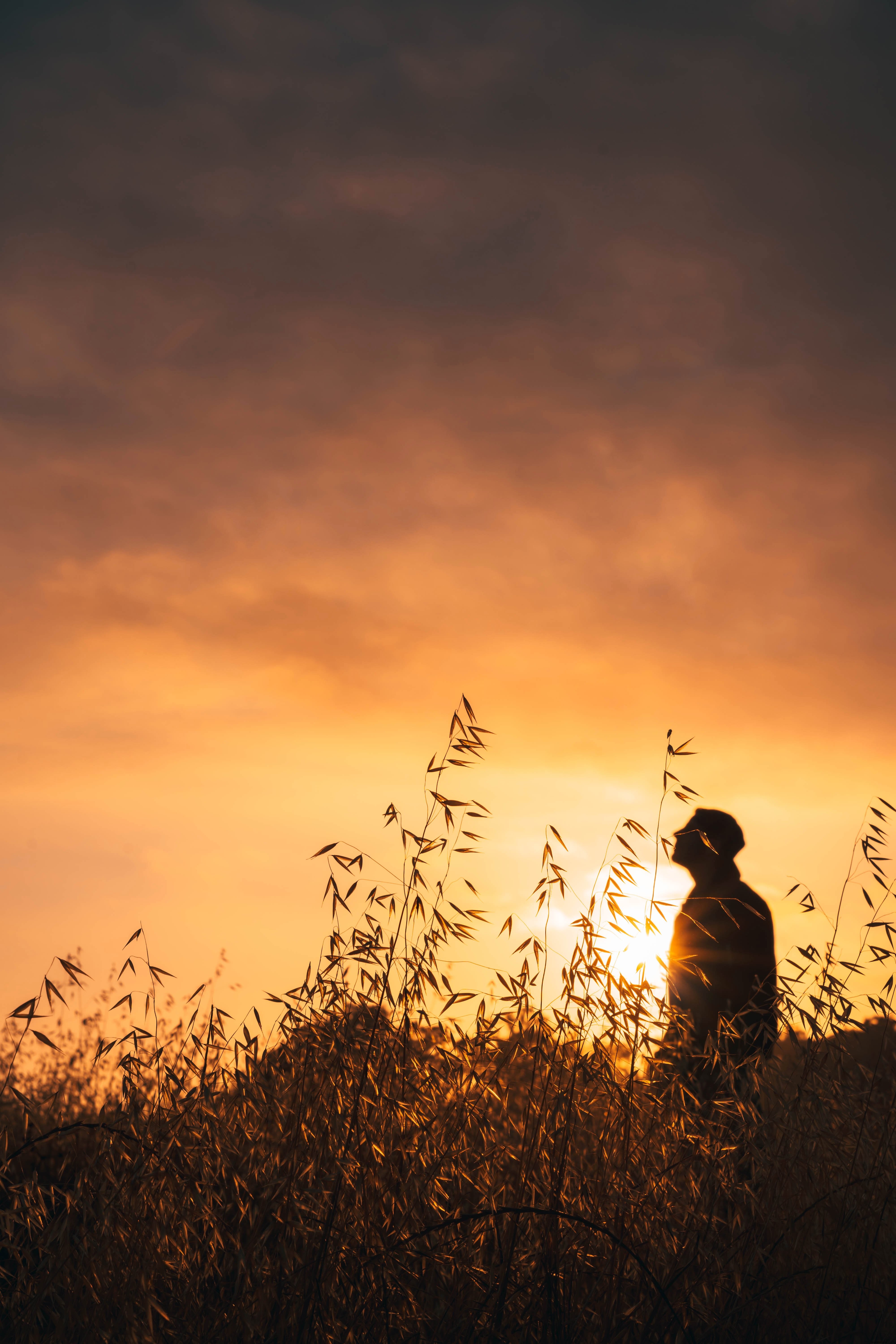 Homme dans un champ au coucher du soleil