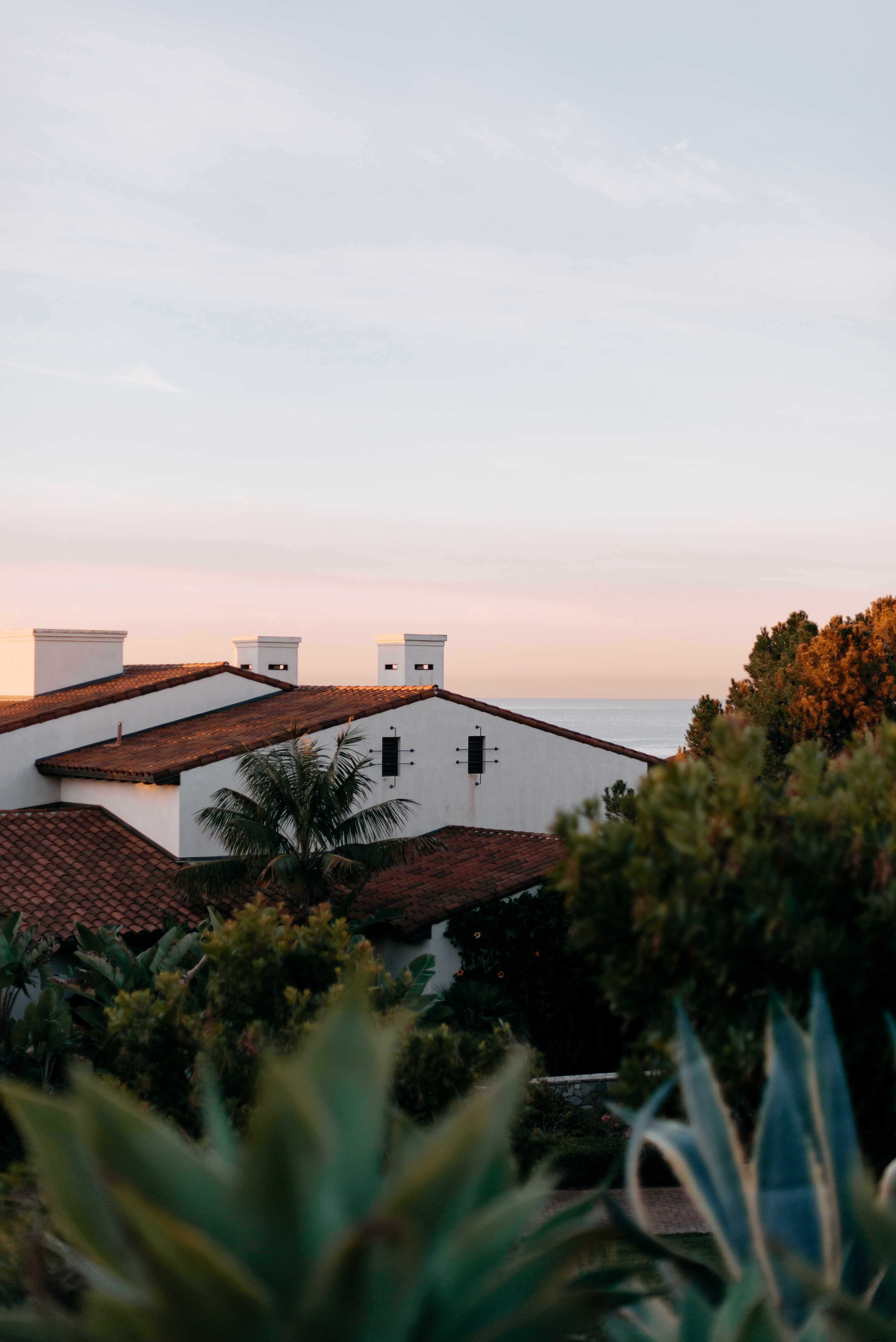 Maison perchée dans les arbres avec vue sur la mer – Photo