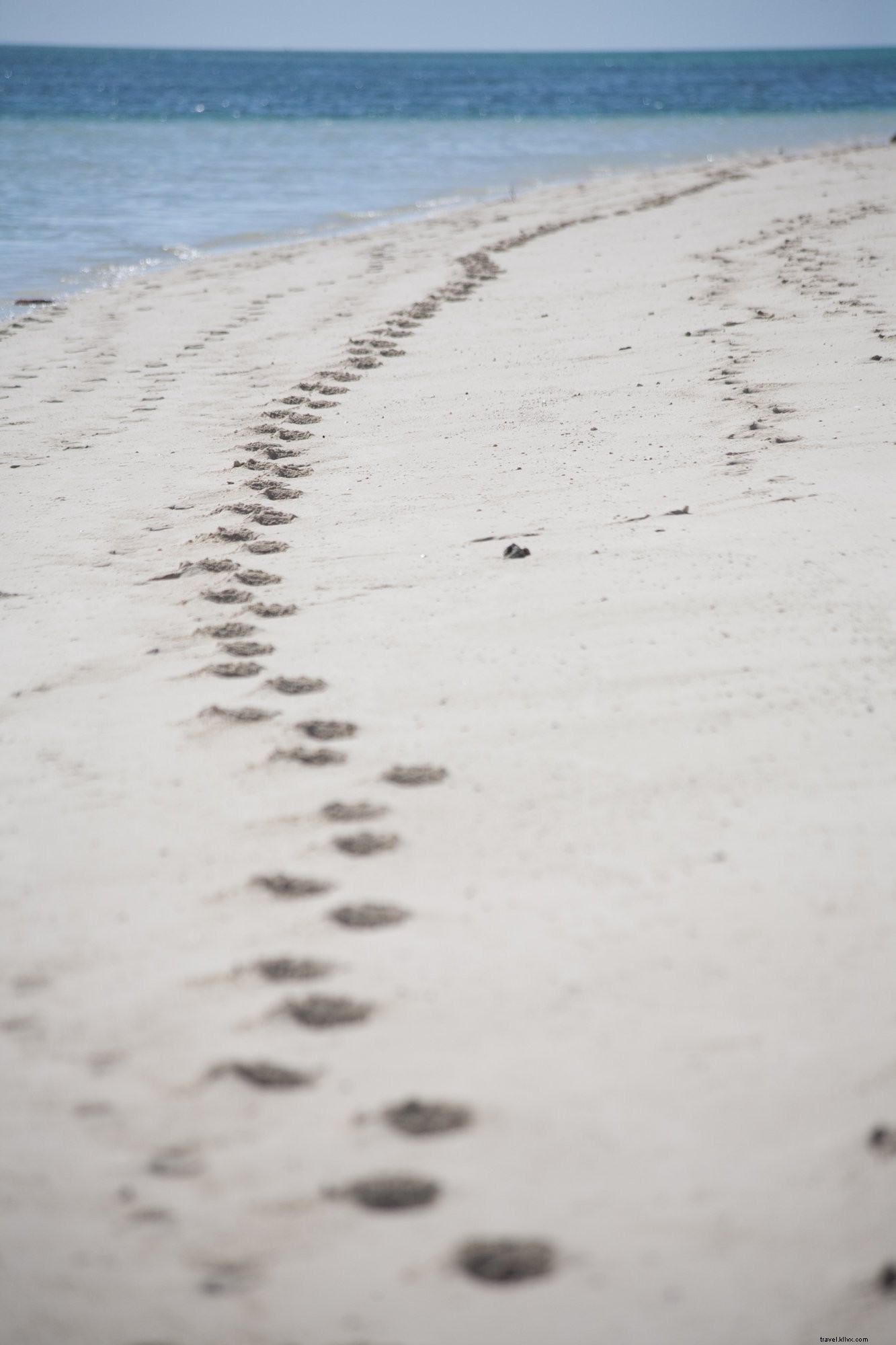 Photo des empreintes sur une plage australienne