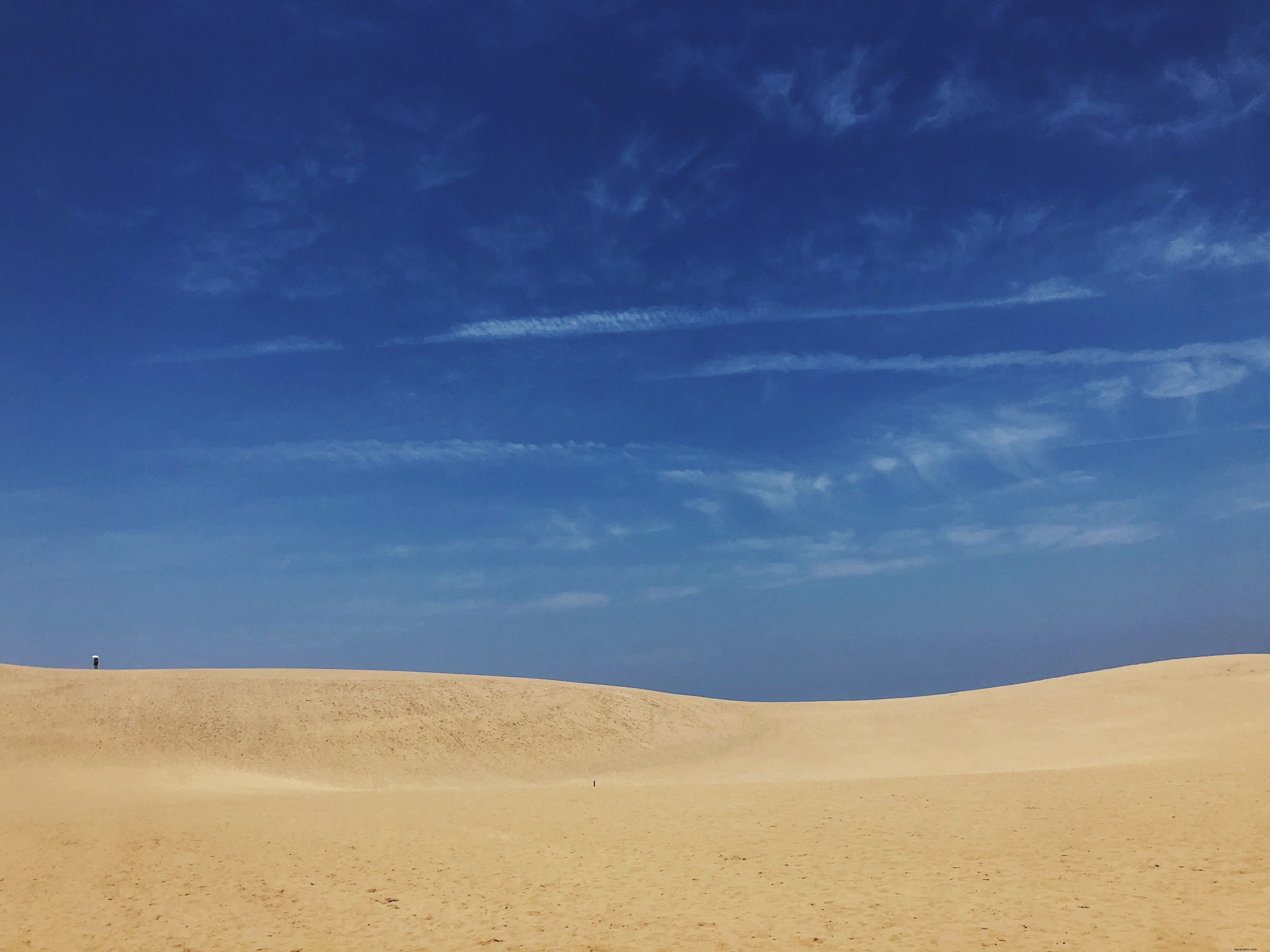Ciel bleu et dunes de sable : une photo époustouflante