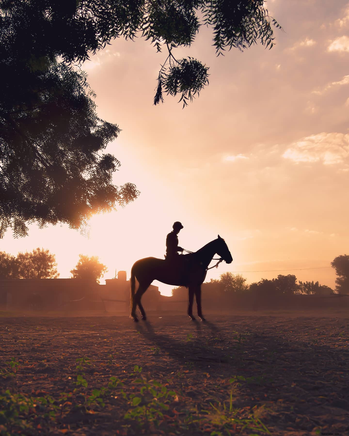 Photo d’une silhouette à cheval dans un champ ouvert