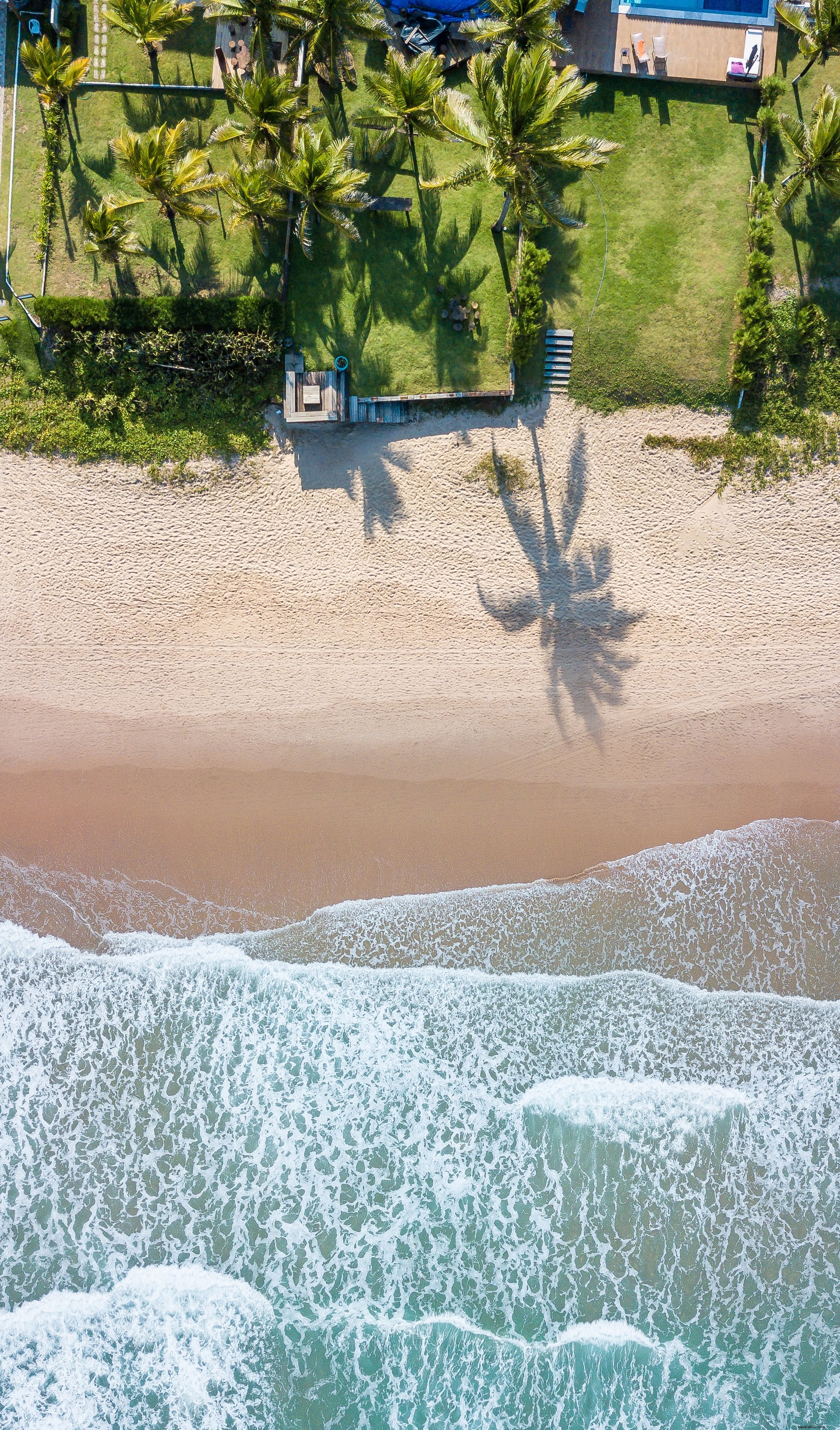 Cours au bord de la plage, entourée de palmiers – Photo