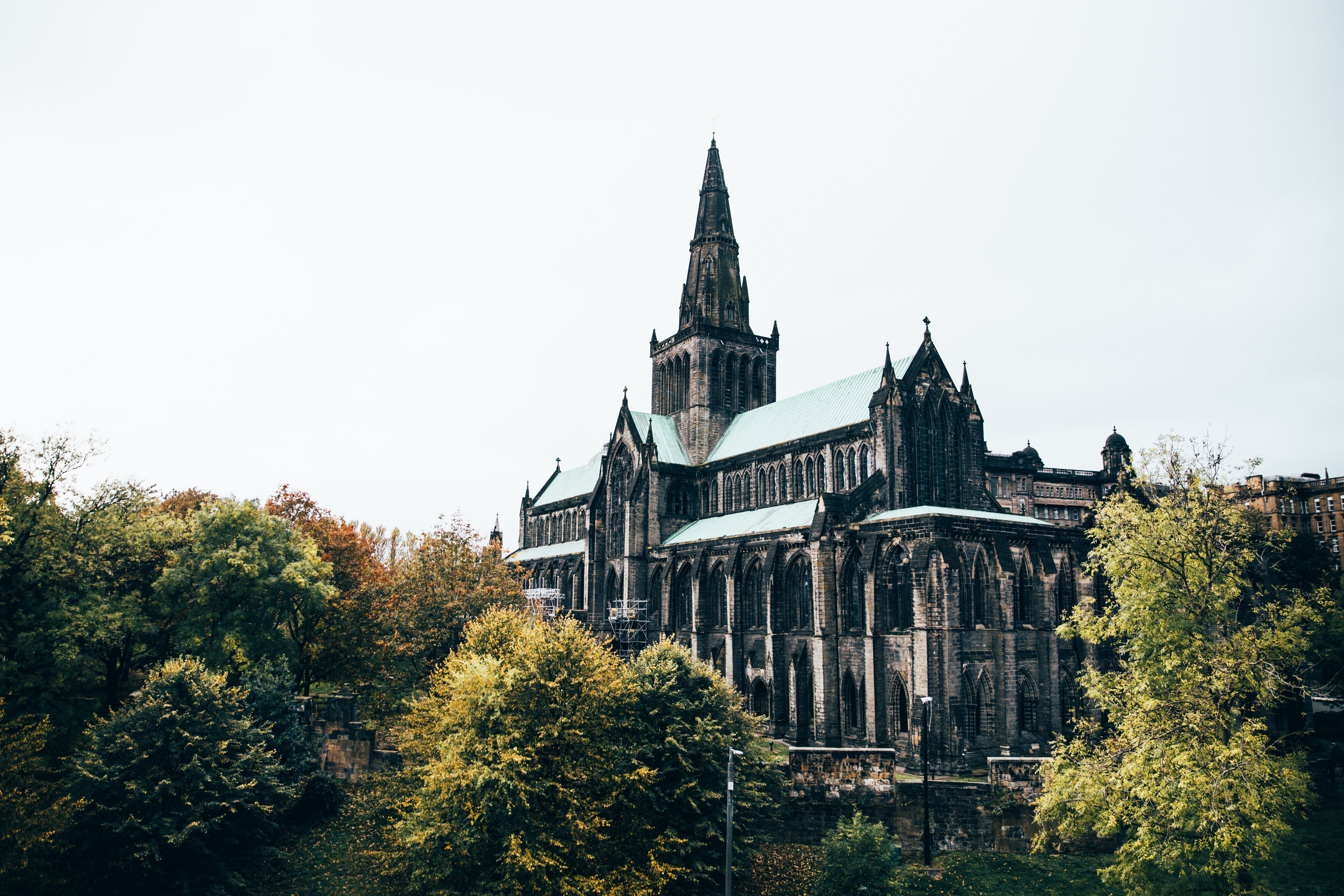 Photo d une cathédrale dans les arbres