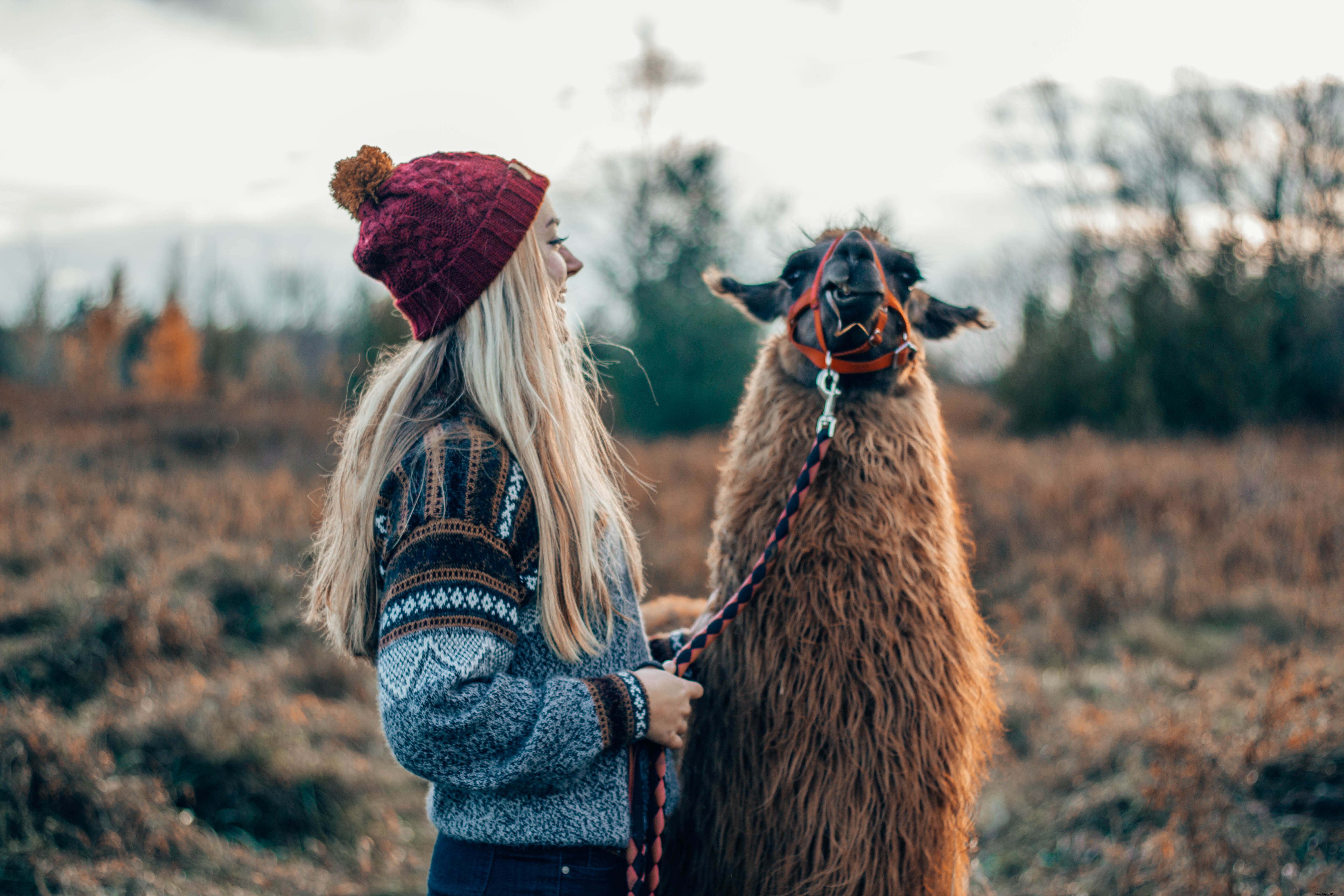 Photo d une femme avec un lama shaggy