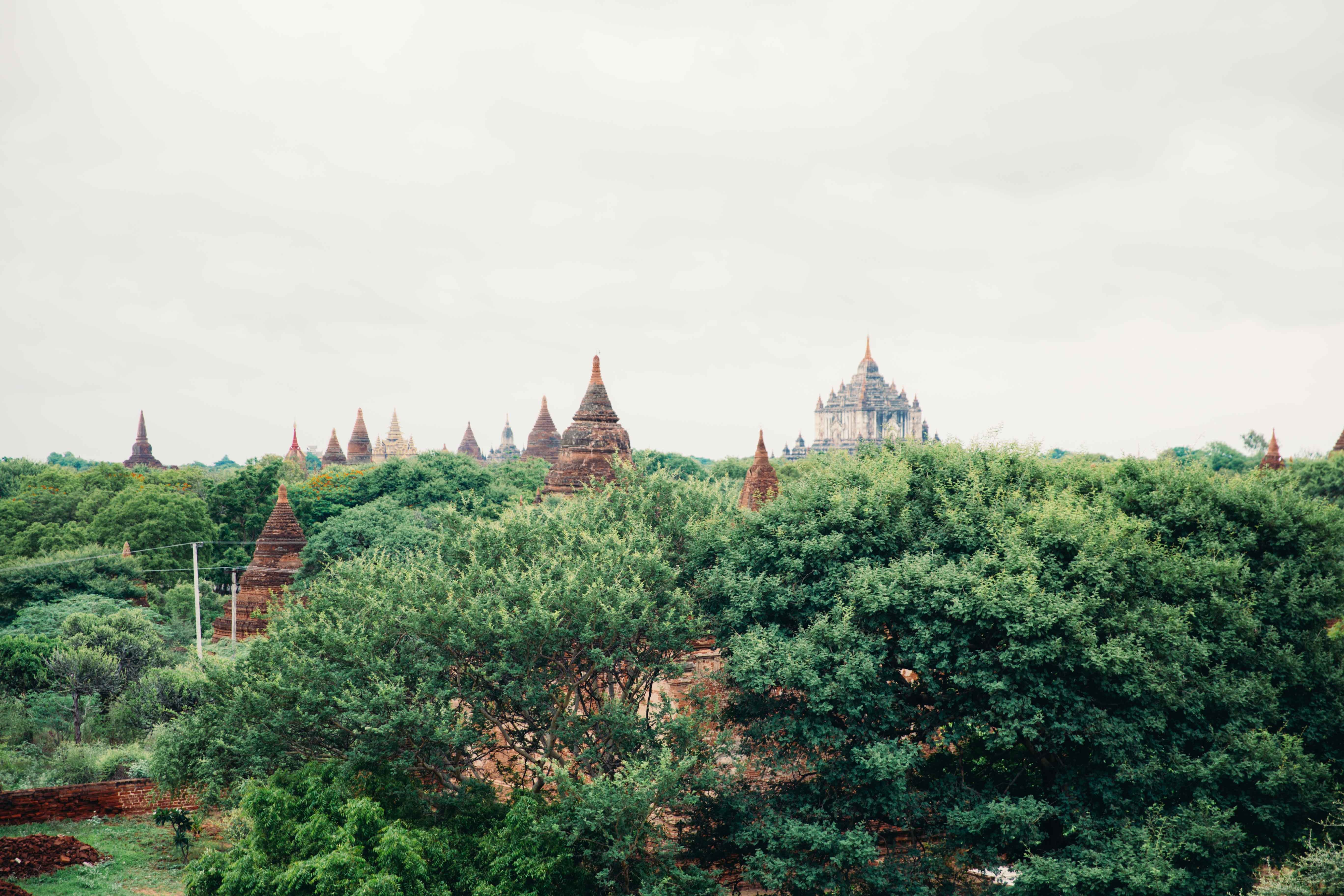 Photos des temples et de la canopée des arbres