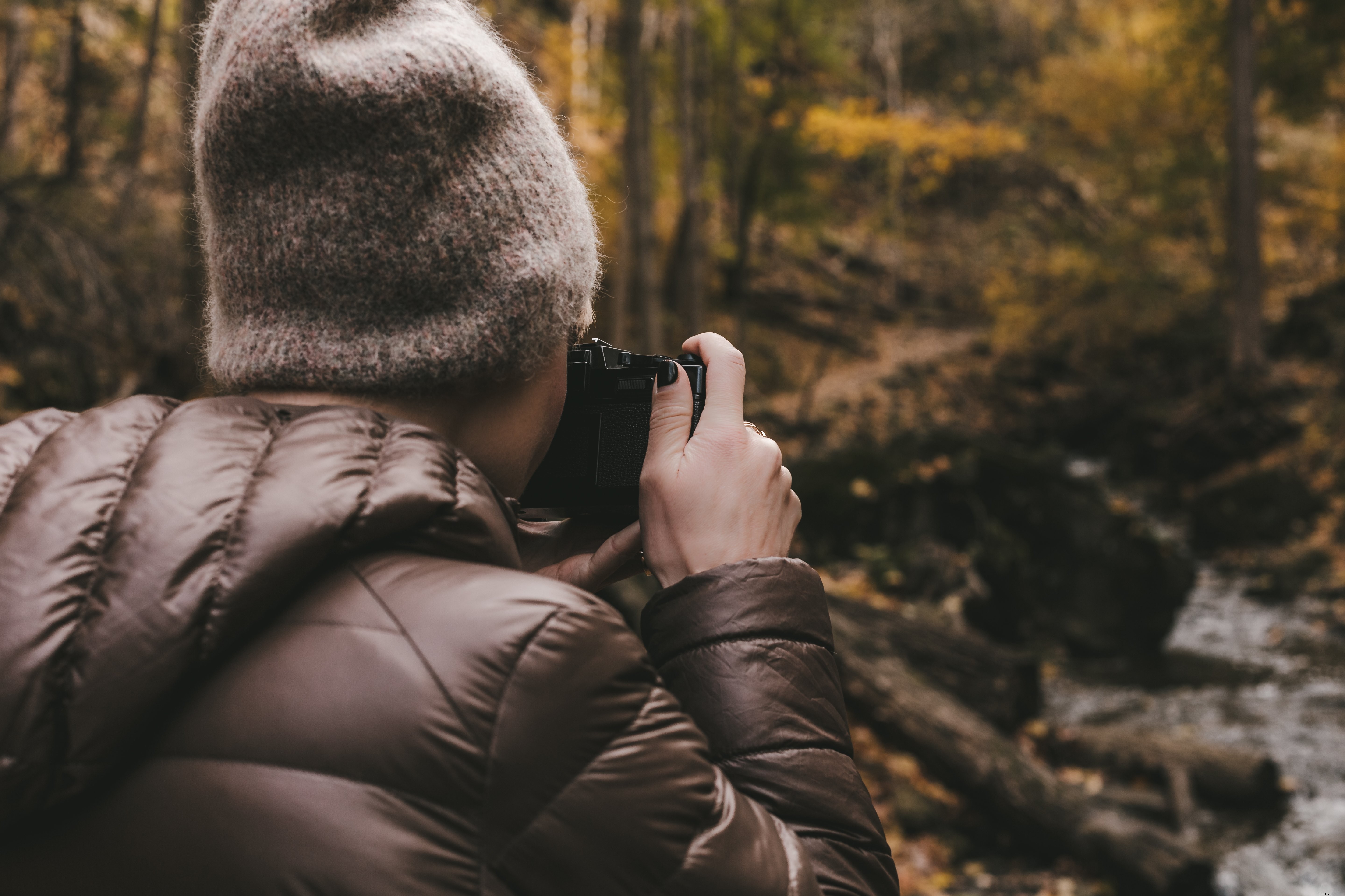 Photographie de la nature en automne